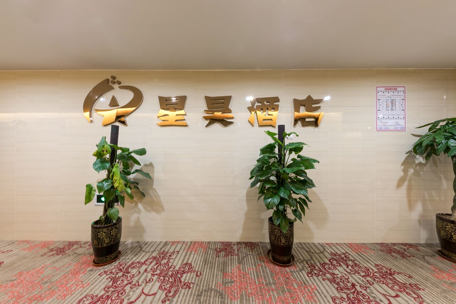 公共区域