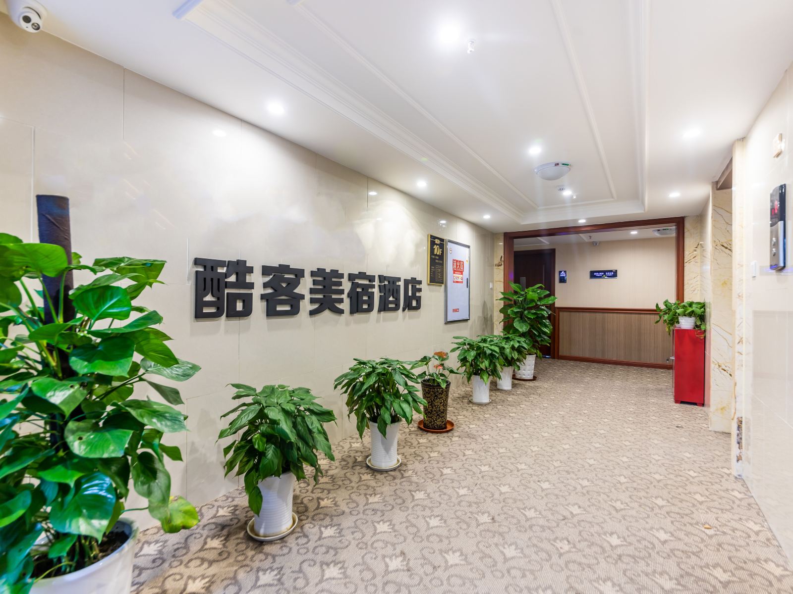 公共区域