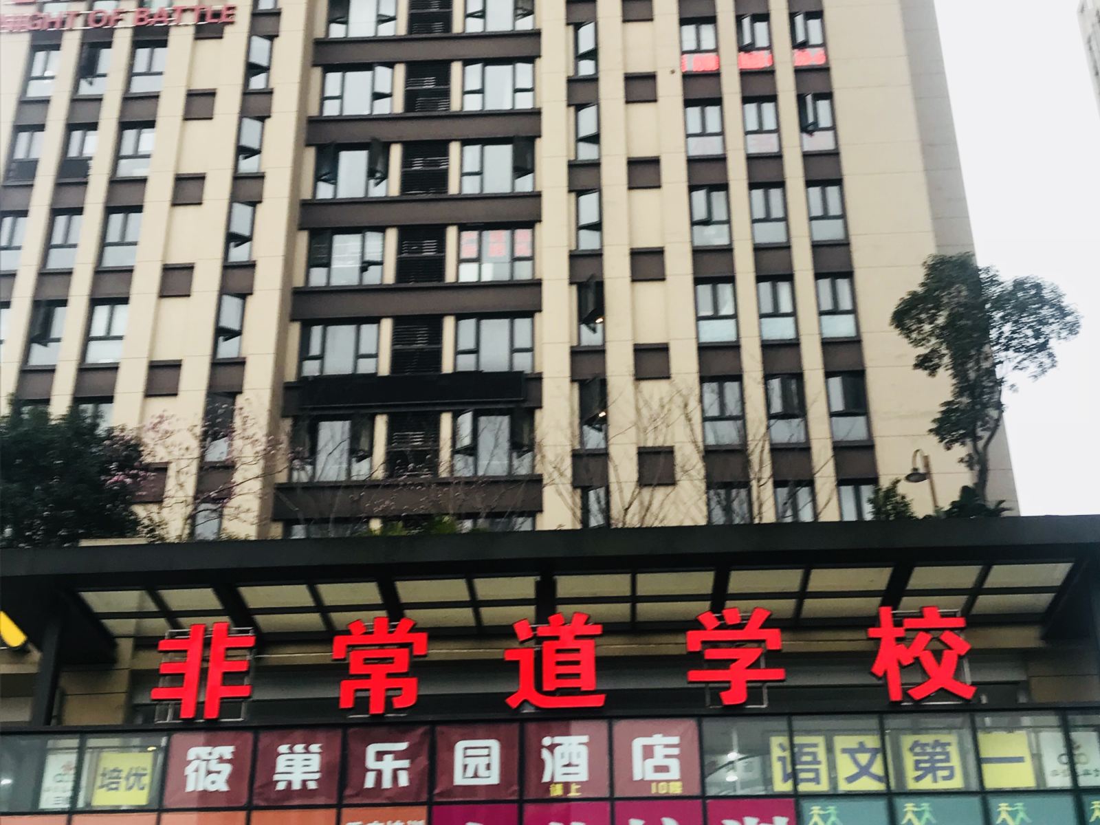外观