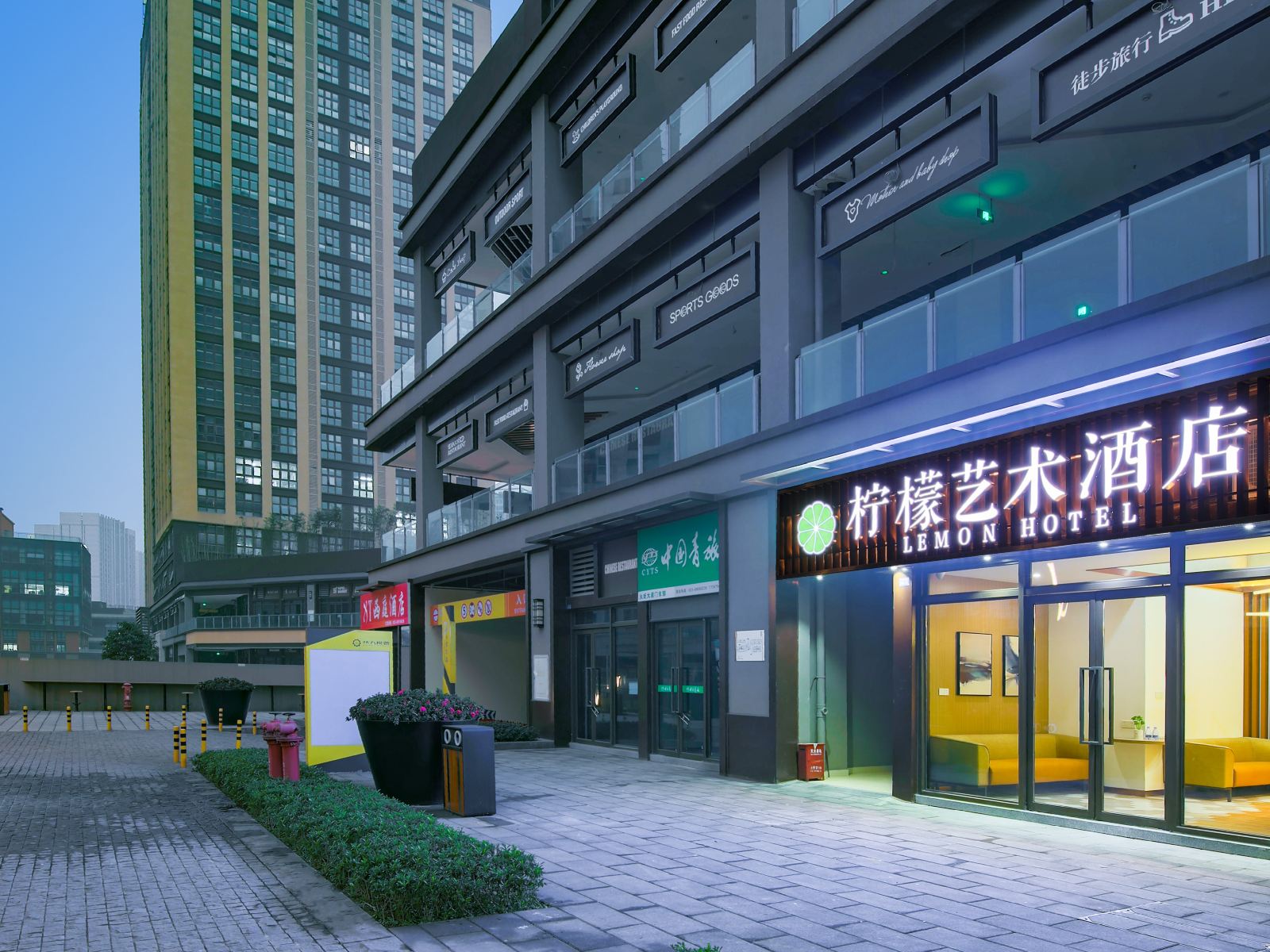 外观