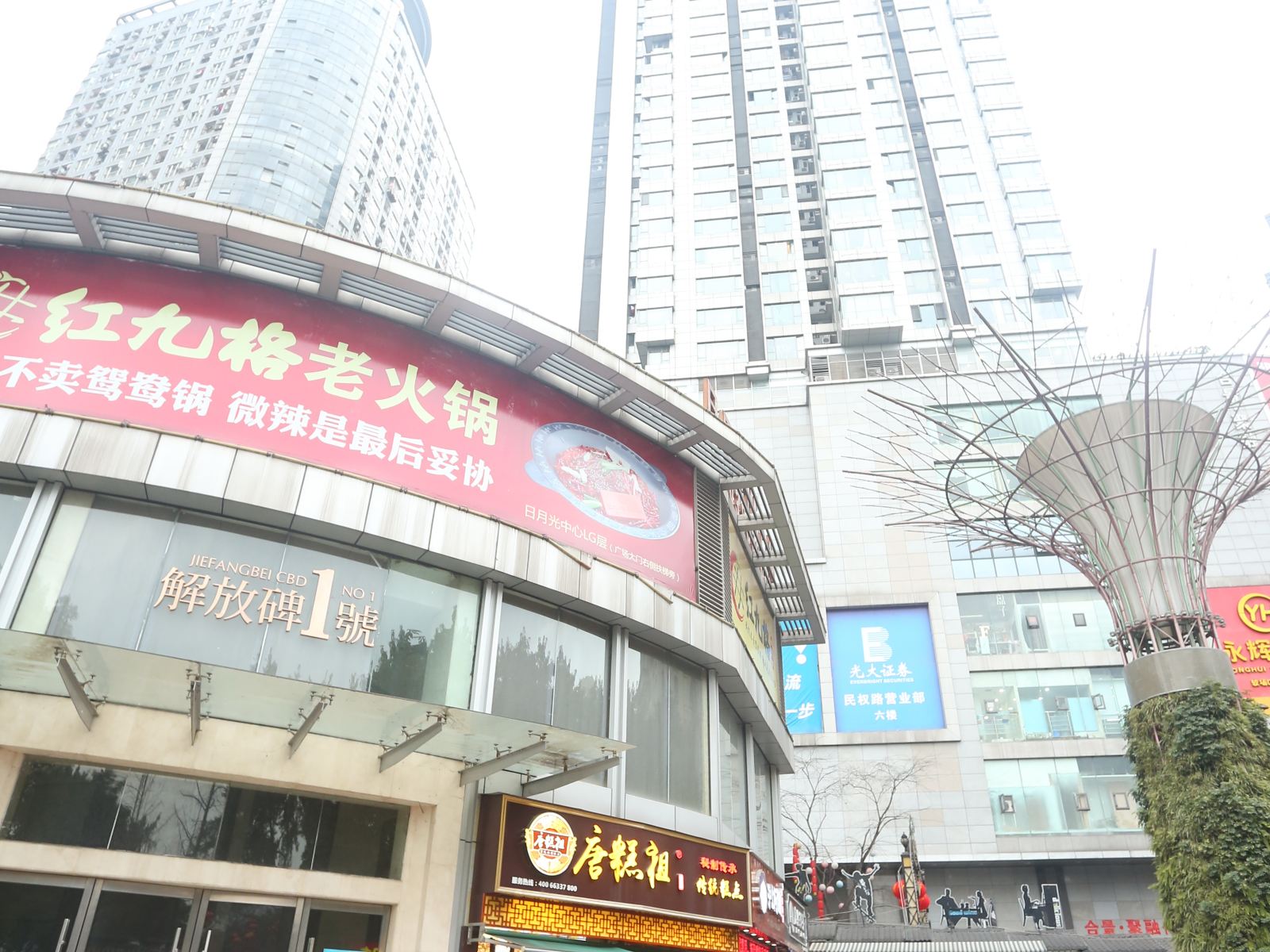 外观