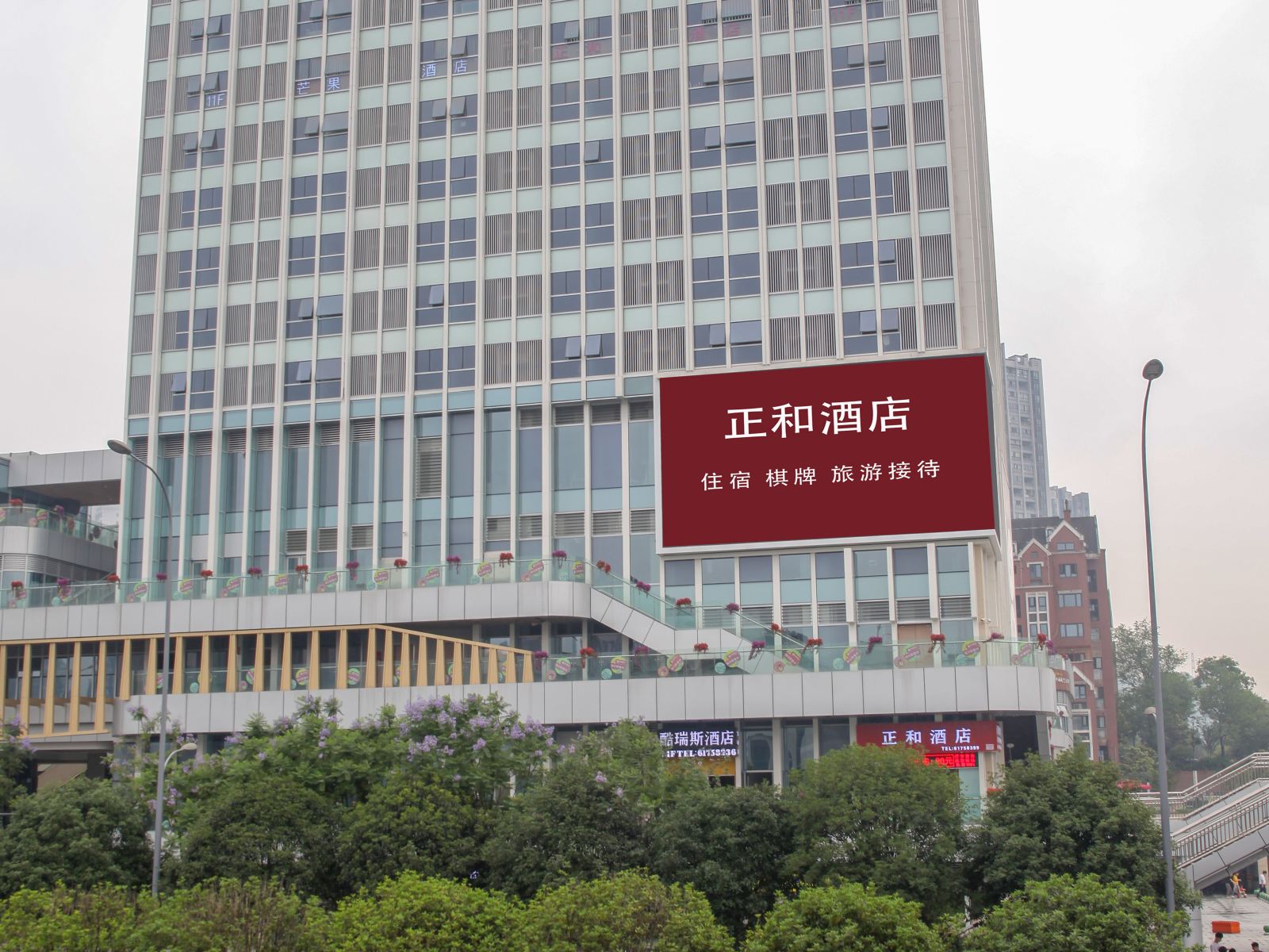 外观