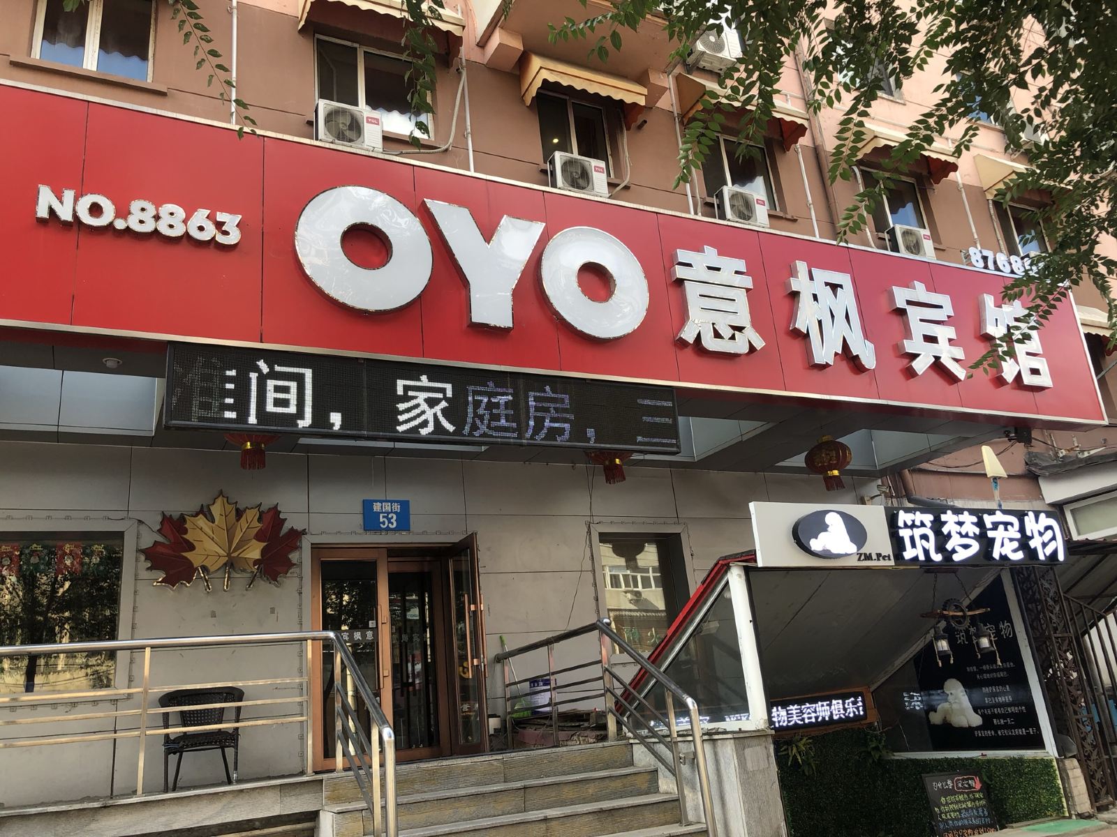 外观