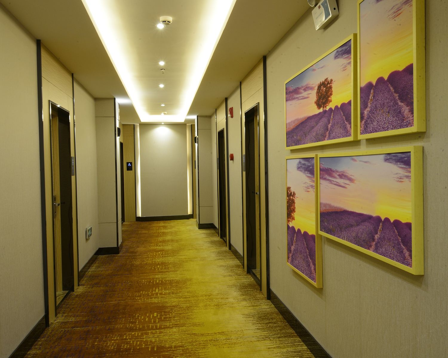 公共区域