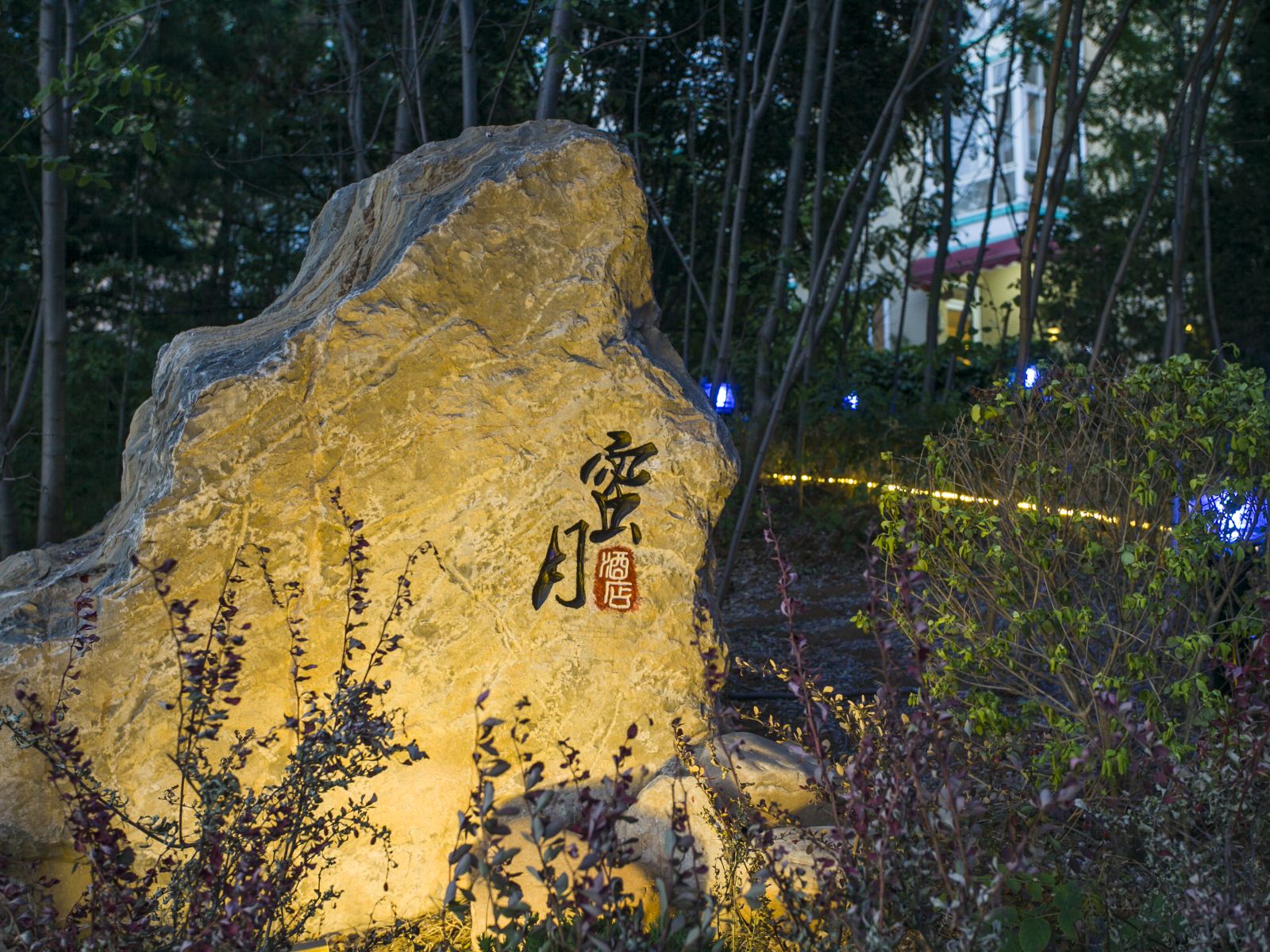 其他