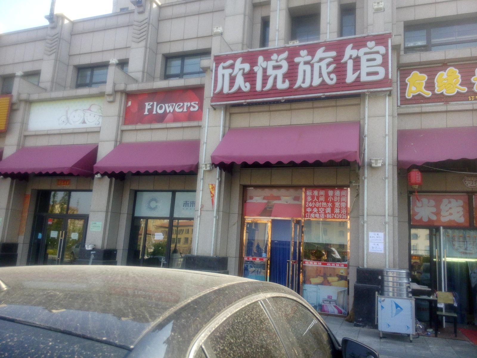 外观