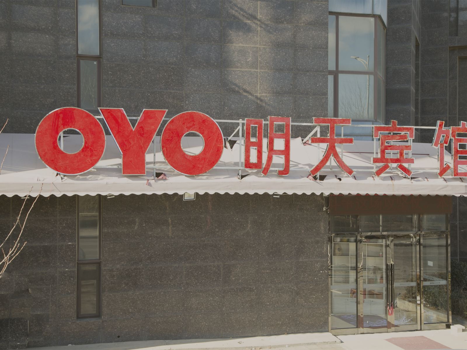 外观