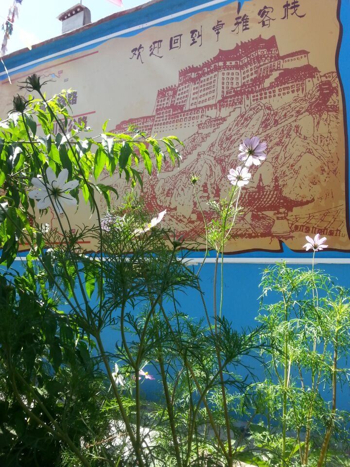 拉萨卓雅客栈