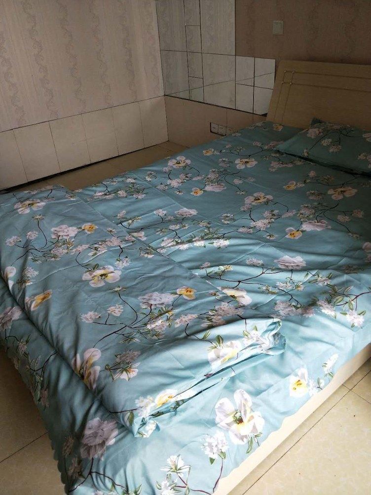 精致一室一厅套房