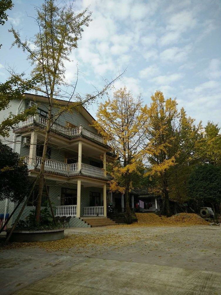 成都度假钰龙苑客栈