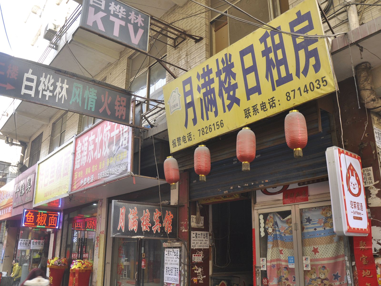 外观
