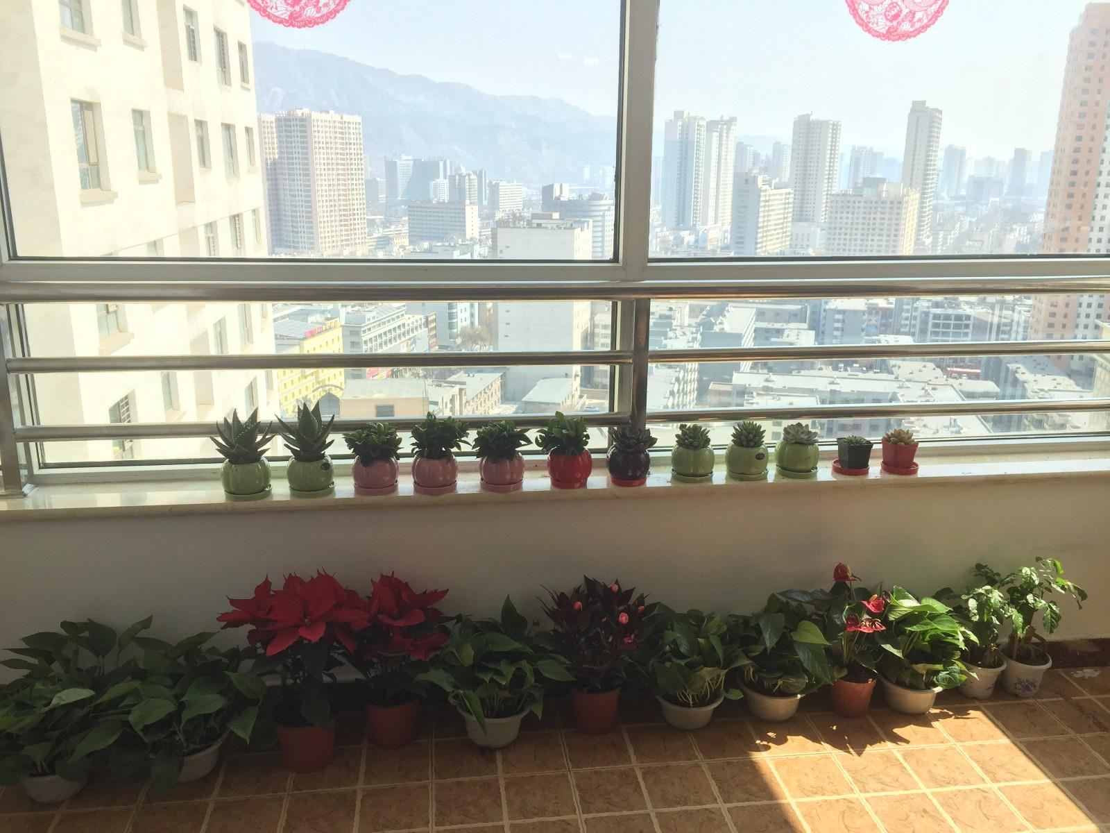 西宁陌上花开青年旅舍