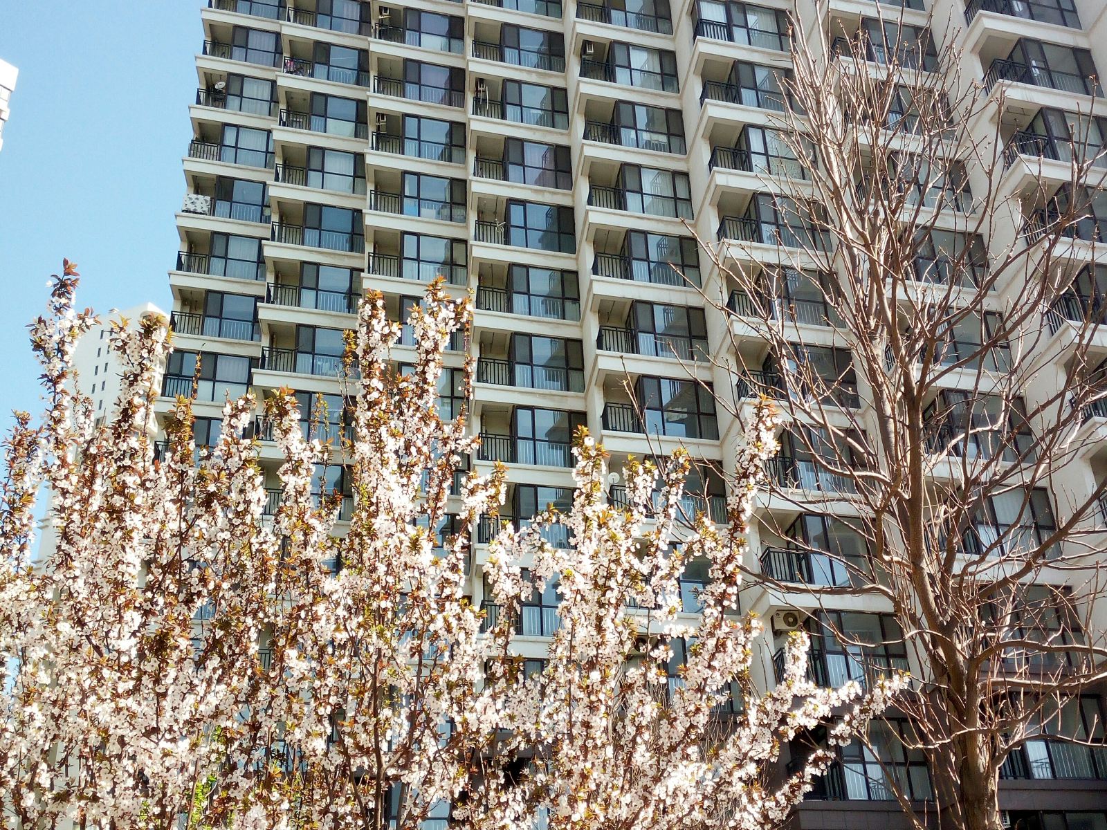 秦皇岛金海海景公寓