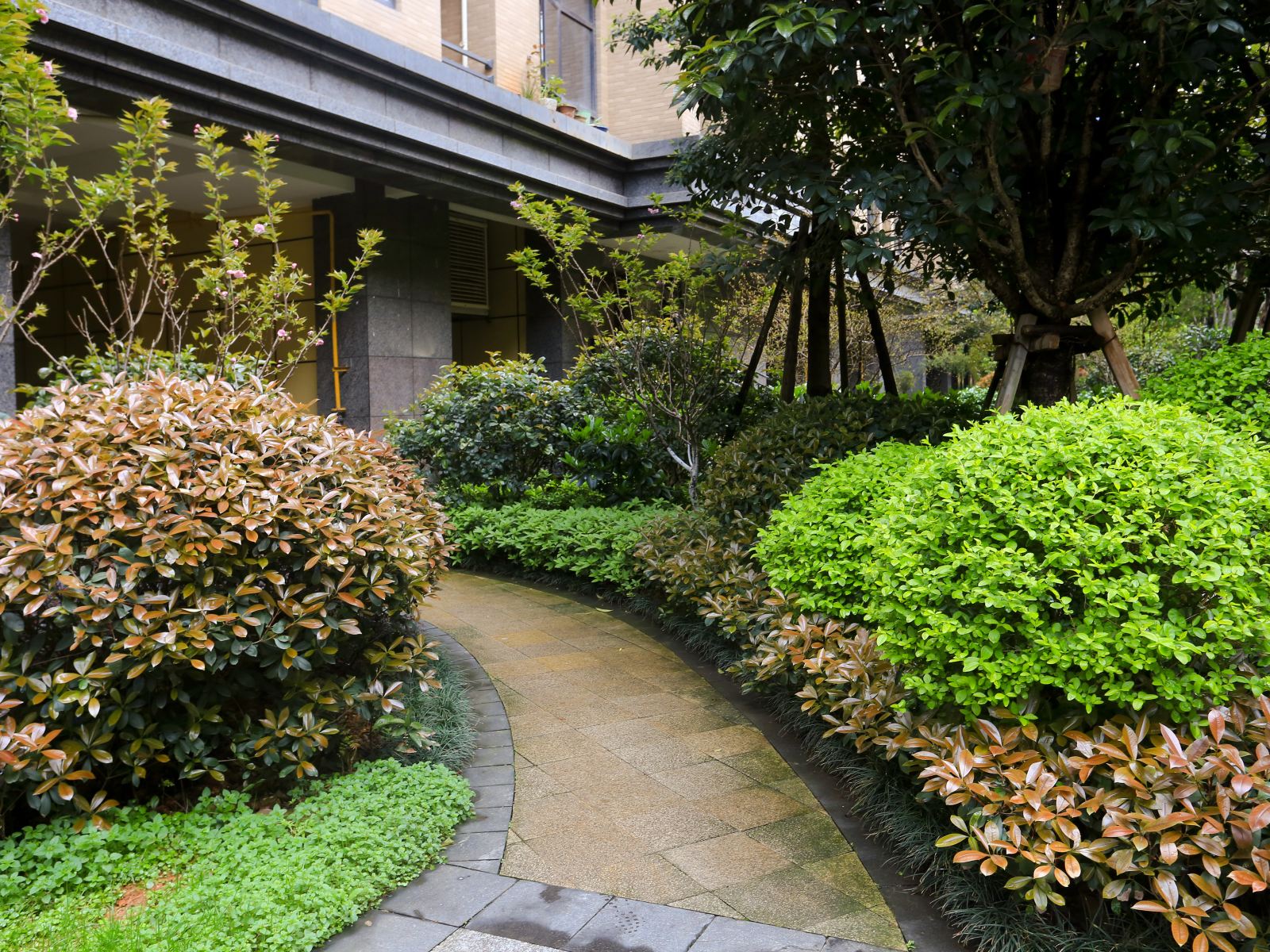 长沙warm house公寓(落星田街分店)