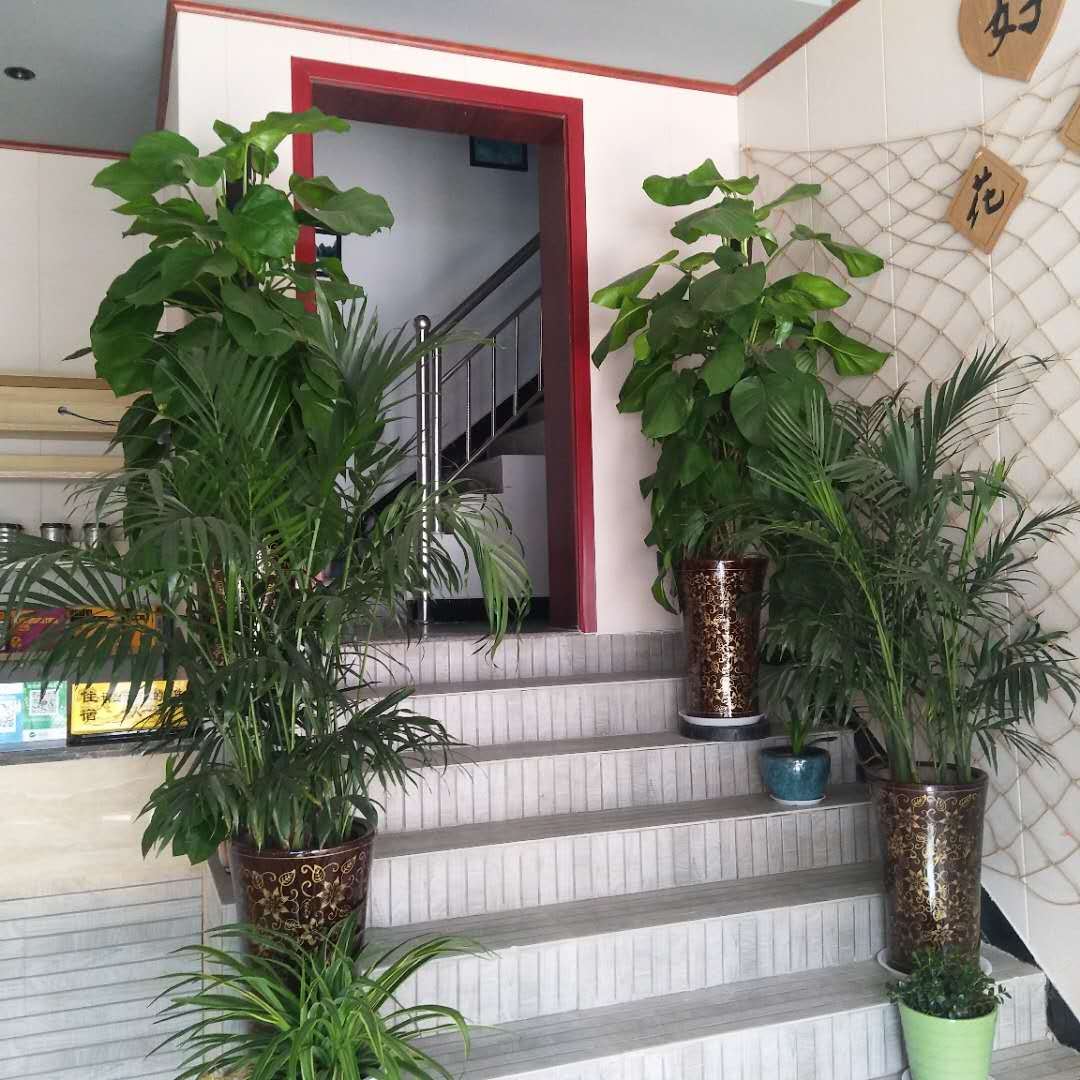 登封蜗居青年旅舍
