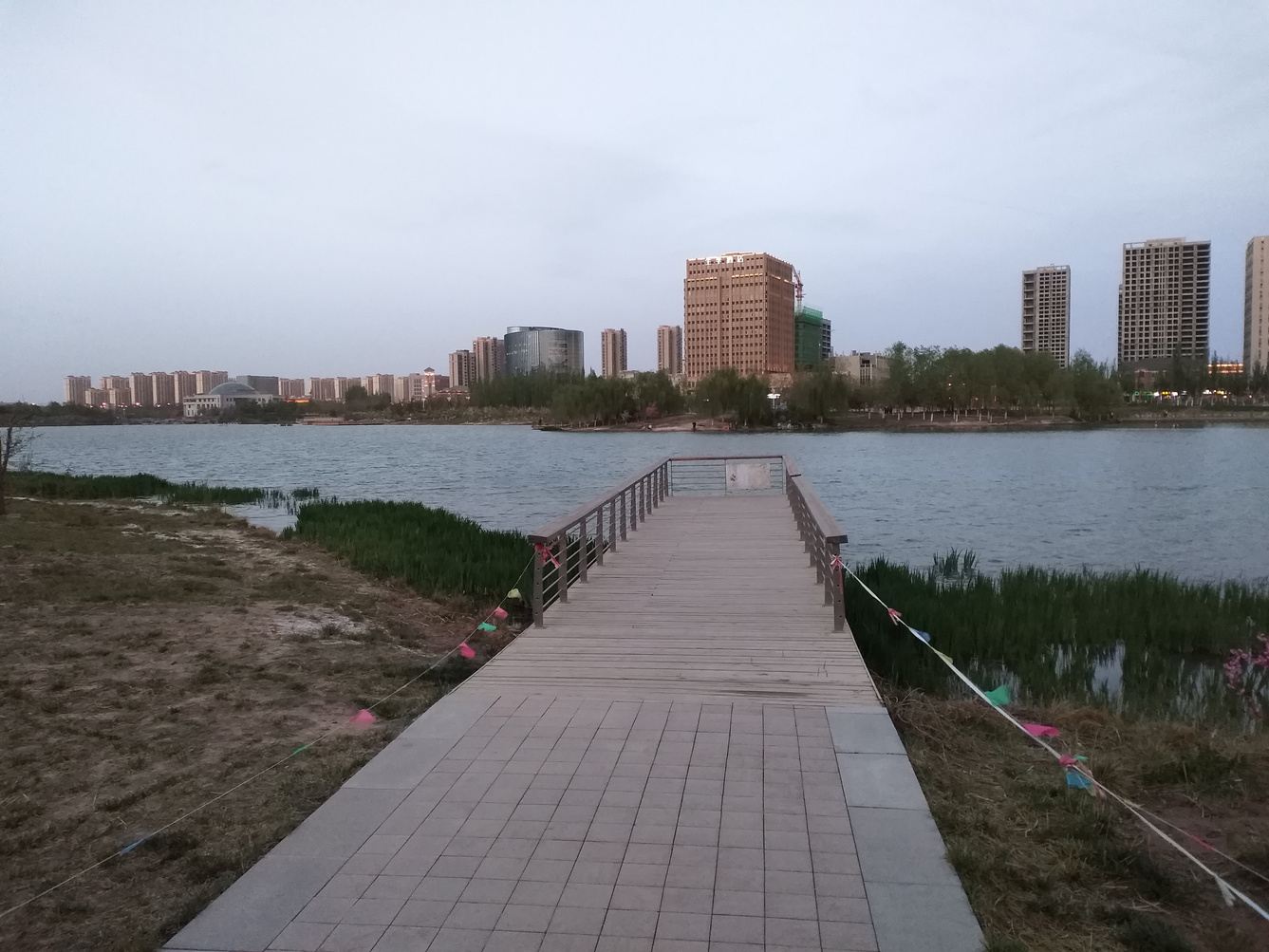 其他