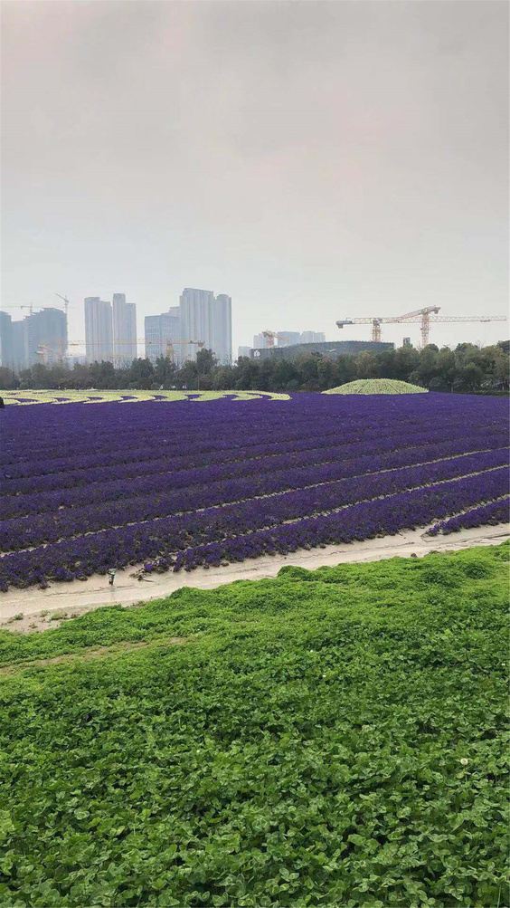 杭州倪华萍公寓