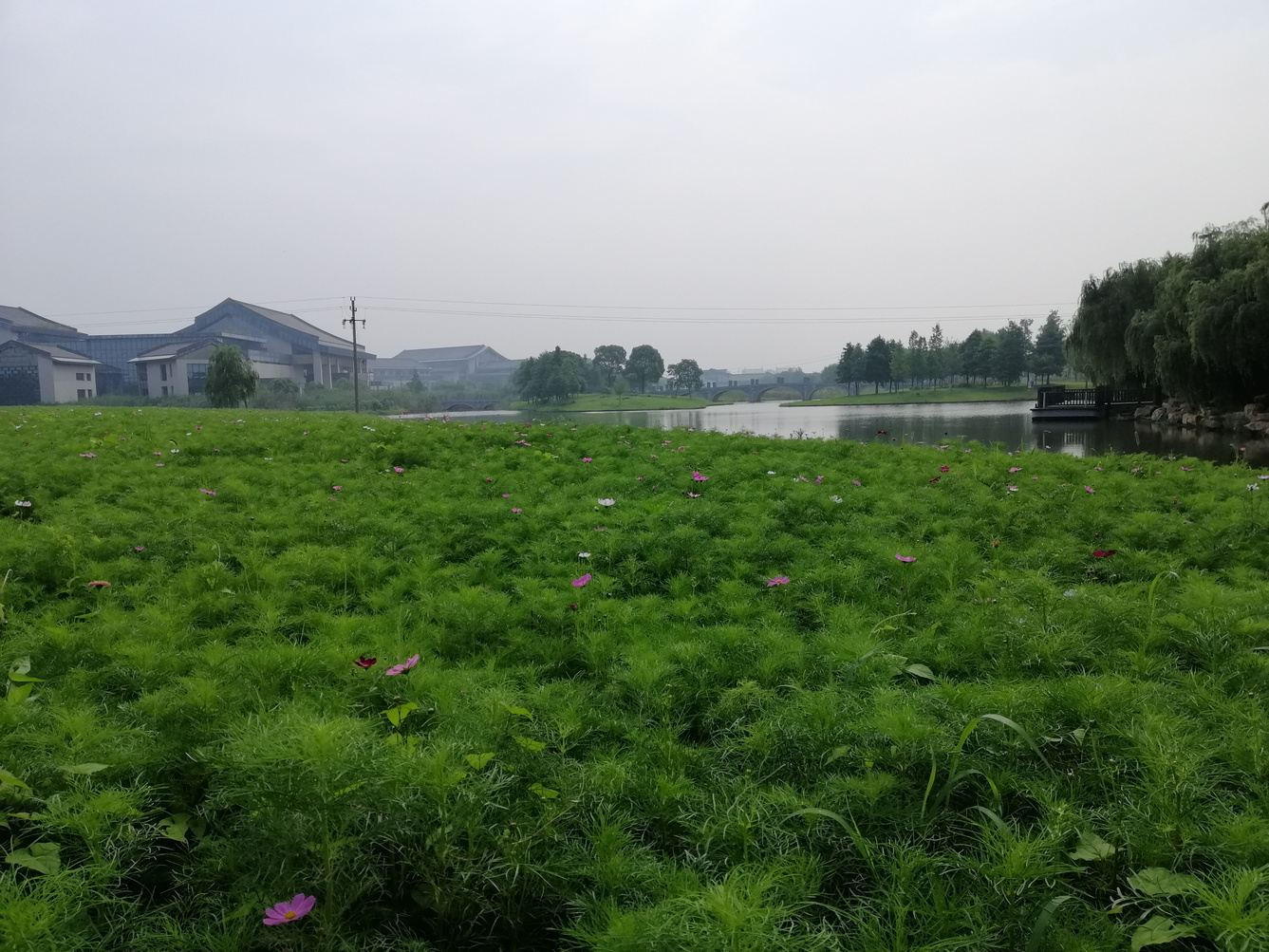 嘉兴王艳清公寓