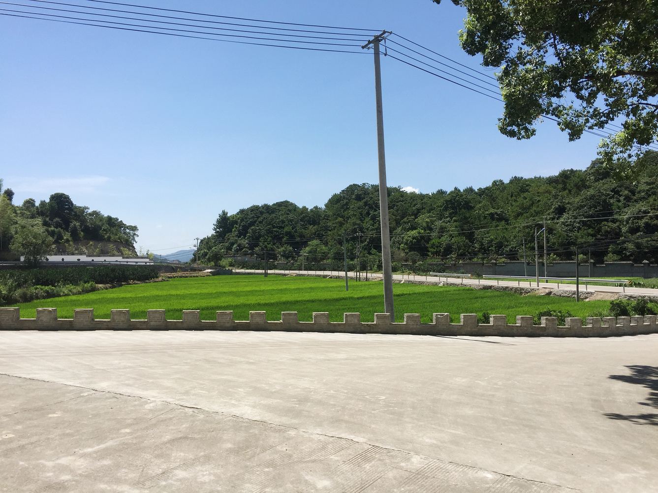 宁波鹿耳甜甜公寓(24号店)