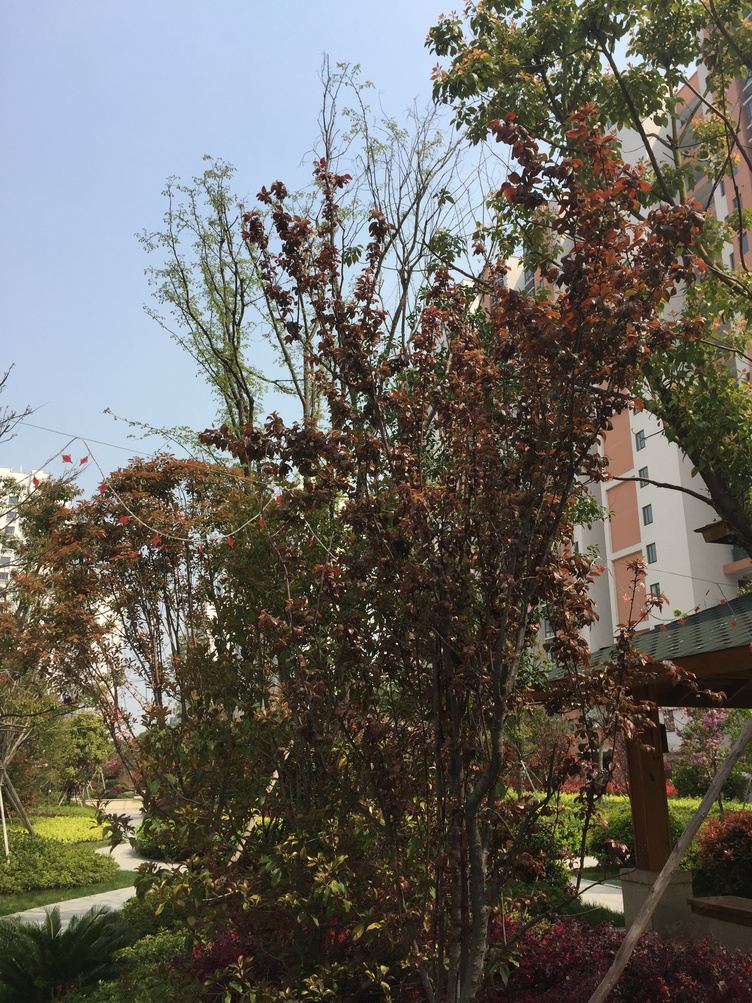 无锡休闲慢生活公寓(6号店)