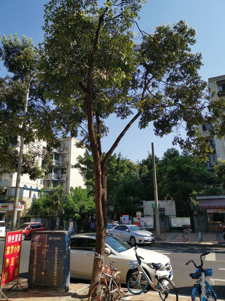 成都余利公寓(7号店)
