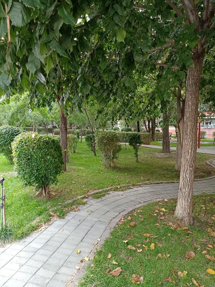 乌鲁木齐土豆的蜗居公寓