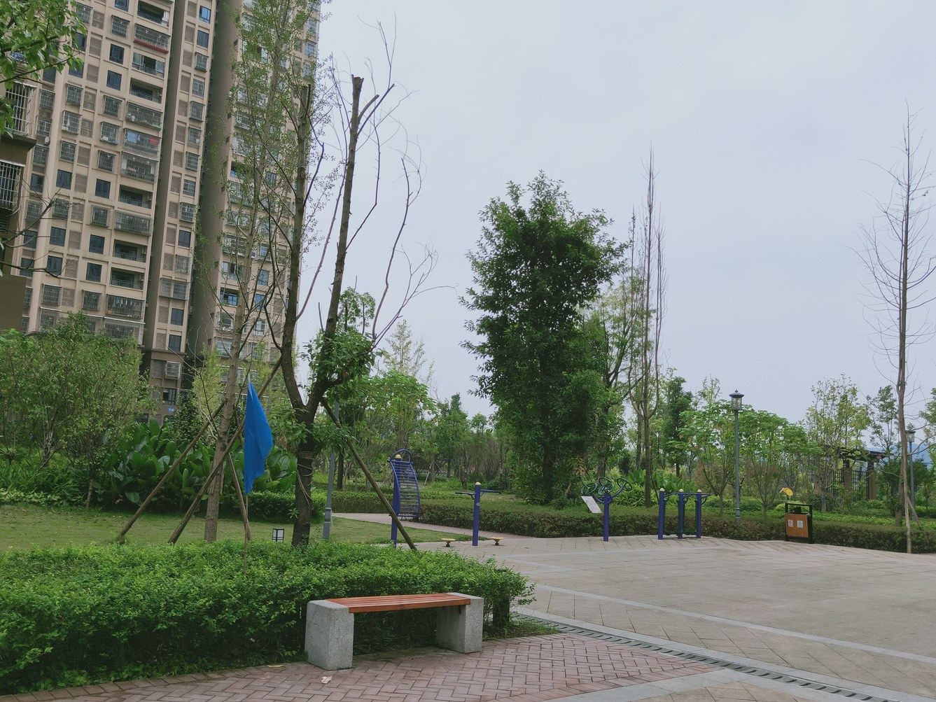其他