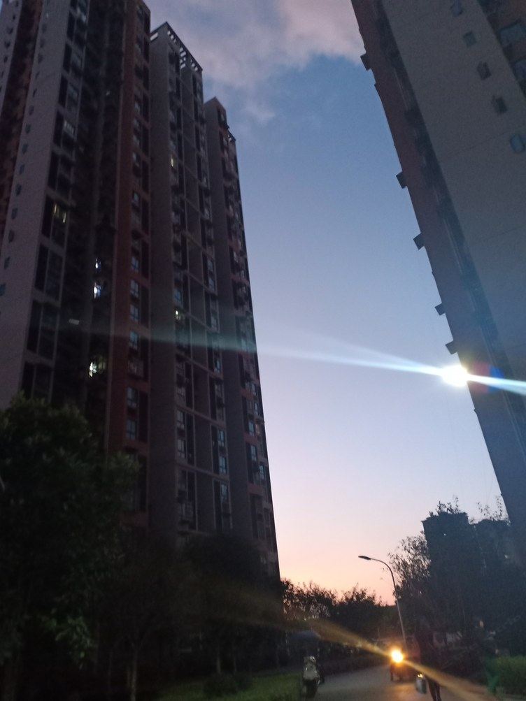 其他