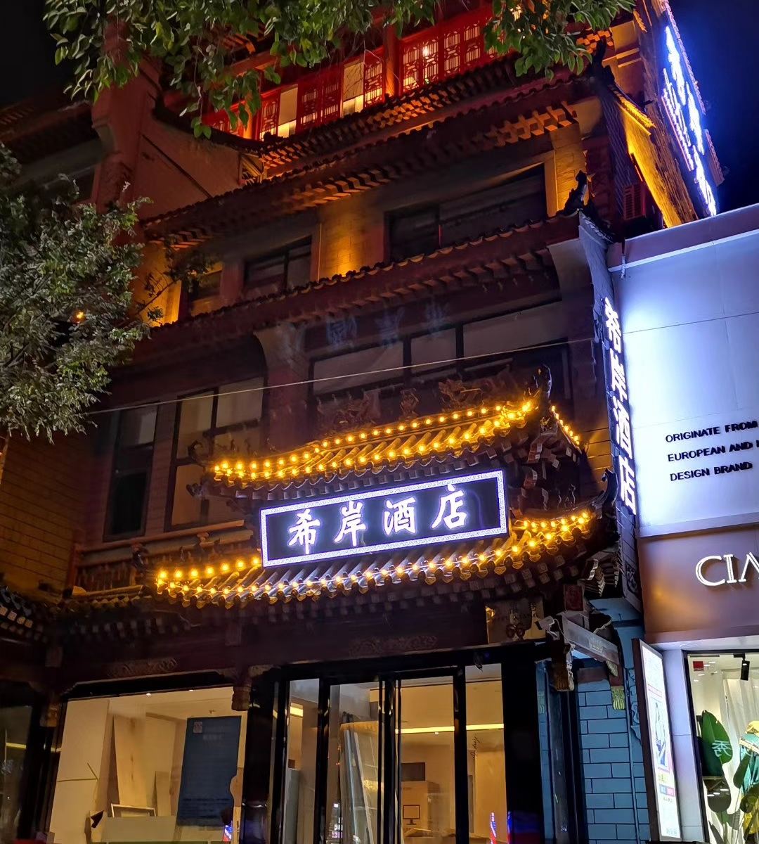 外观