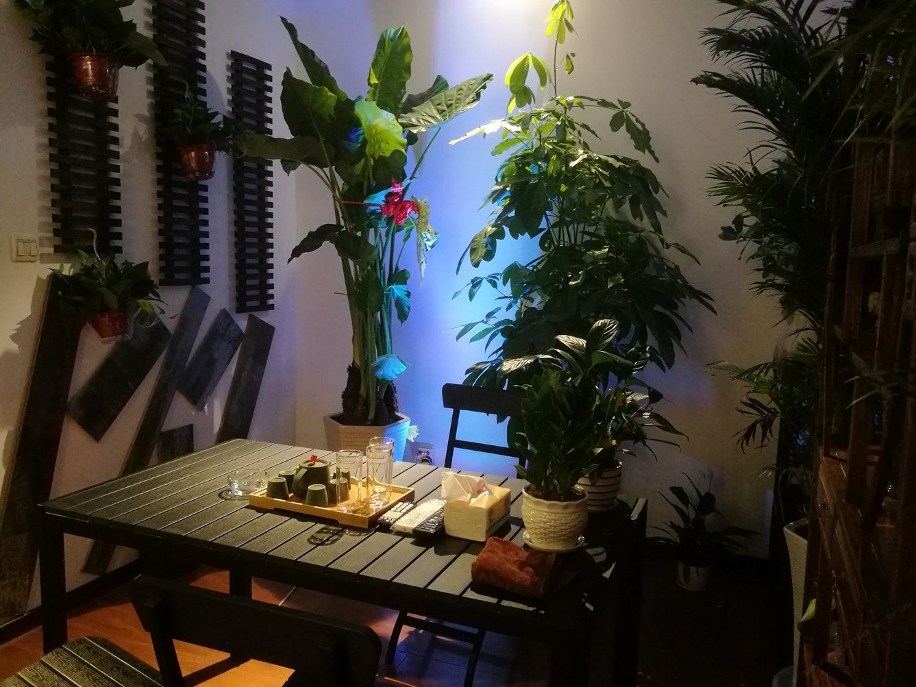 其他