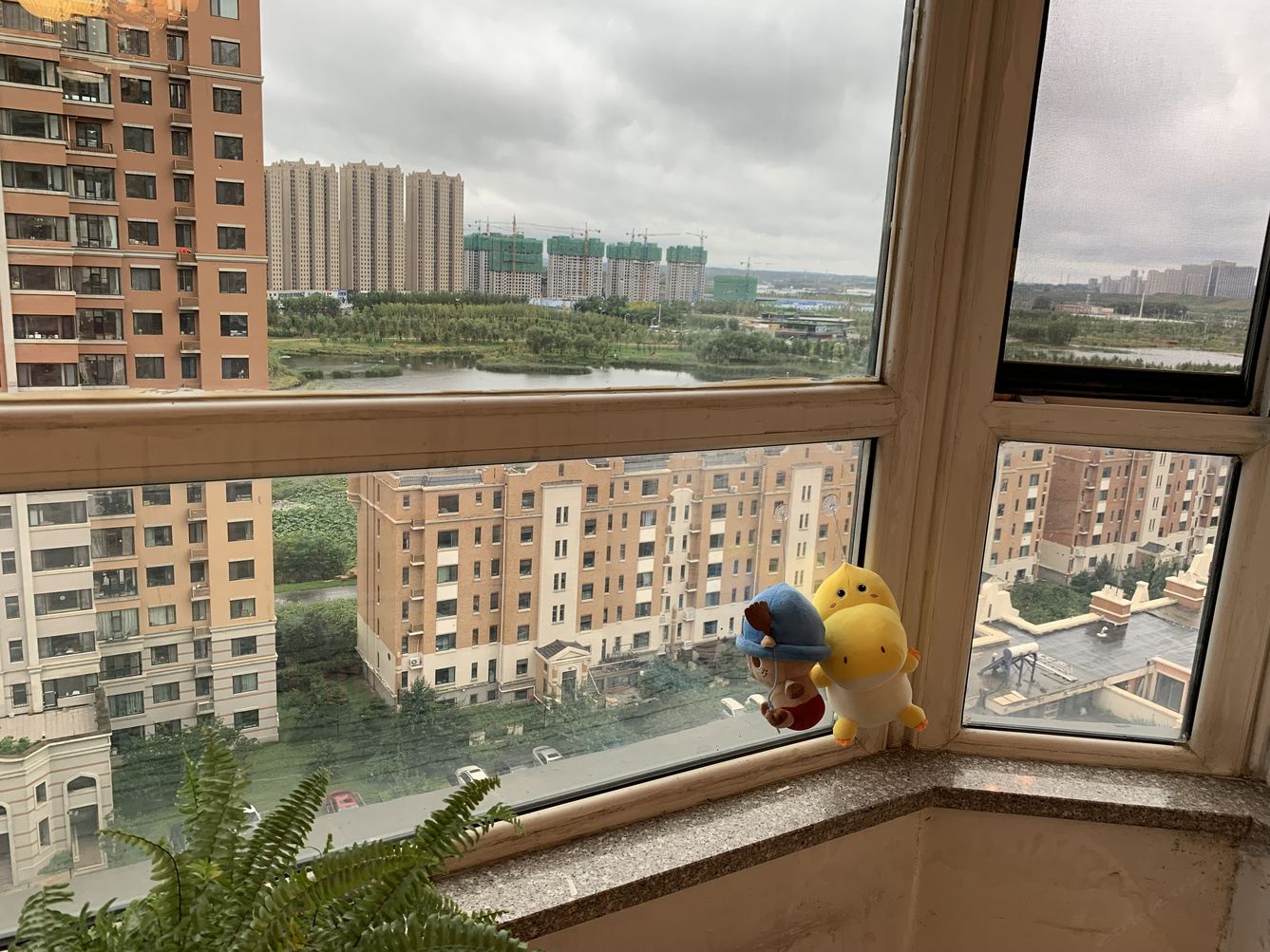 其他
