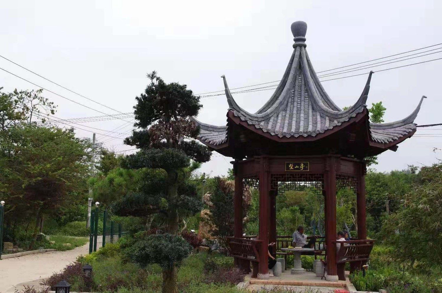 其他