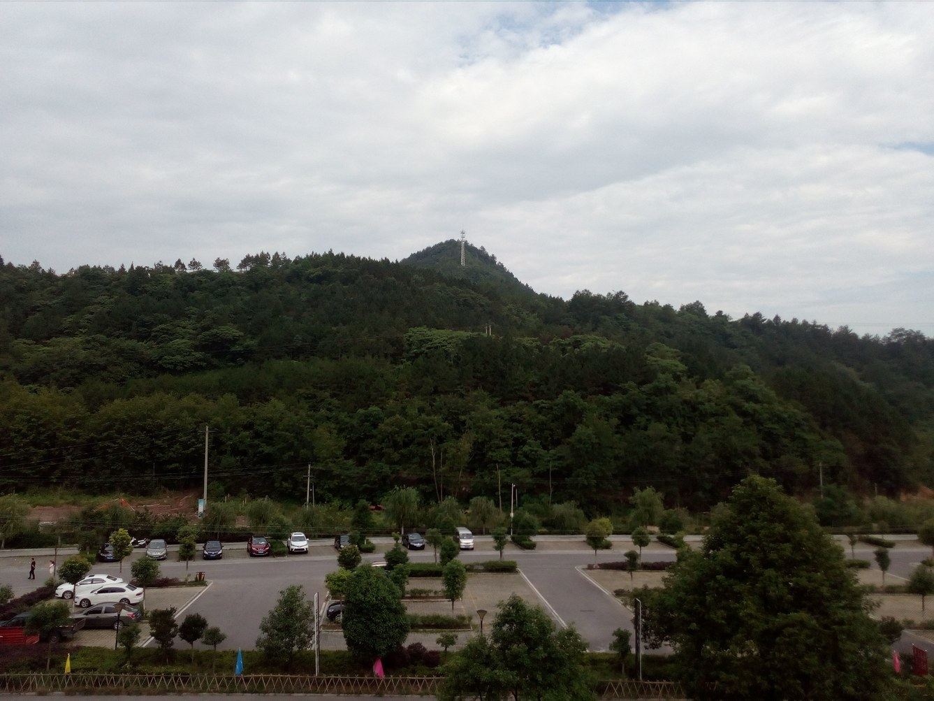 其他