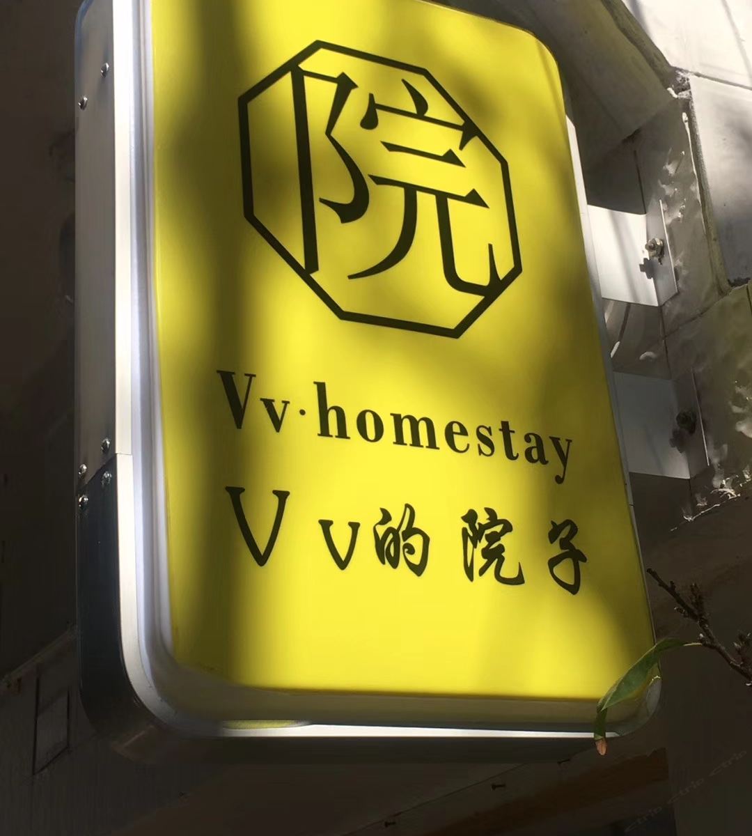 外观