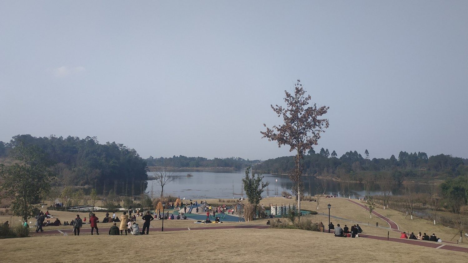 其他