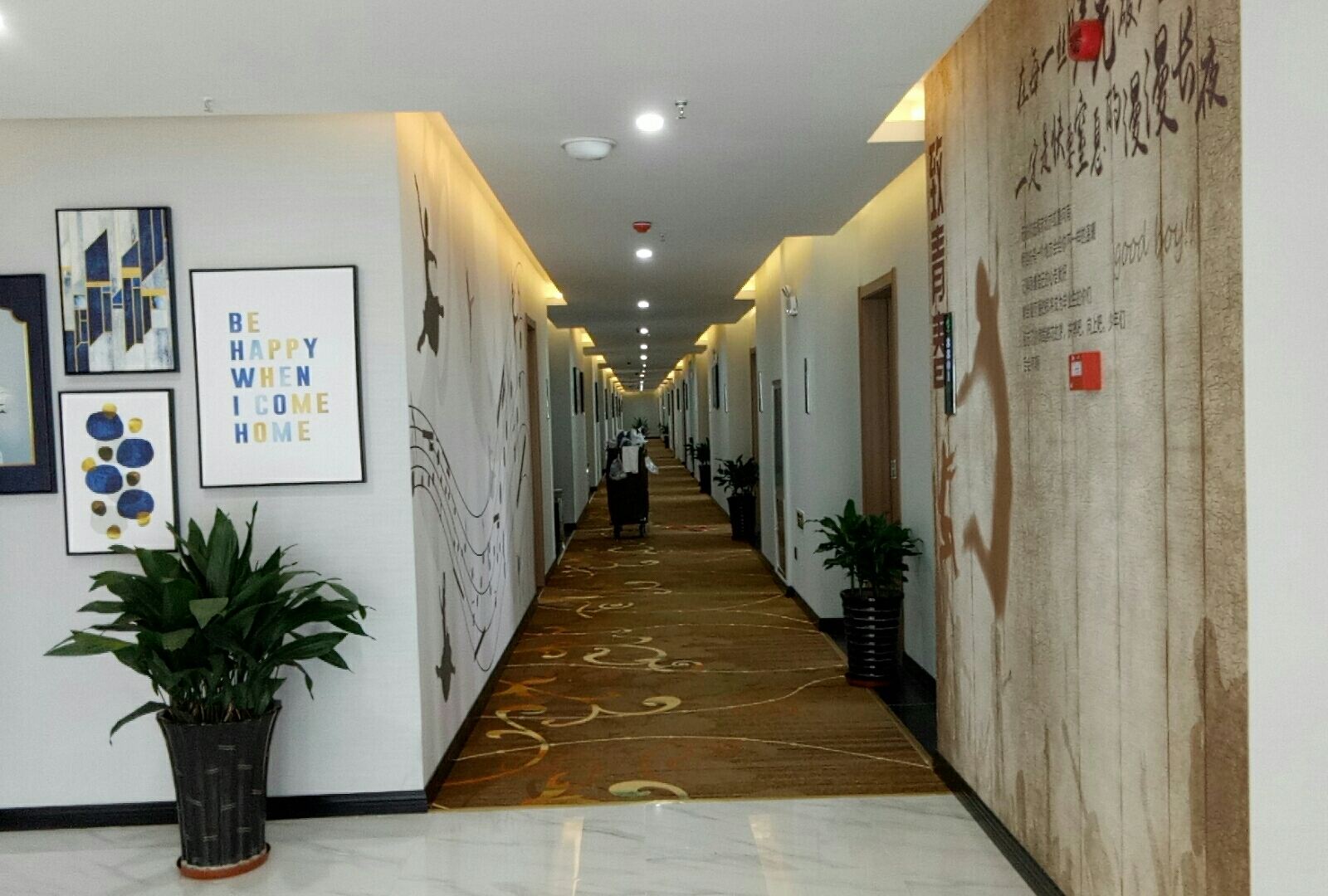 公共区域