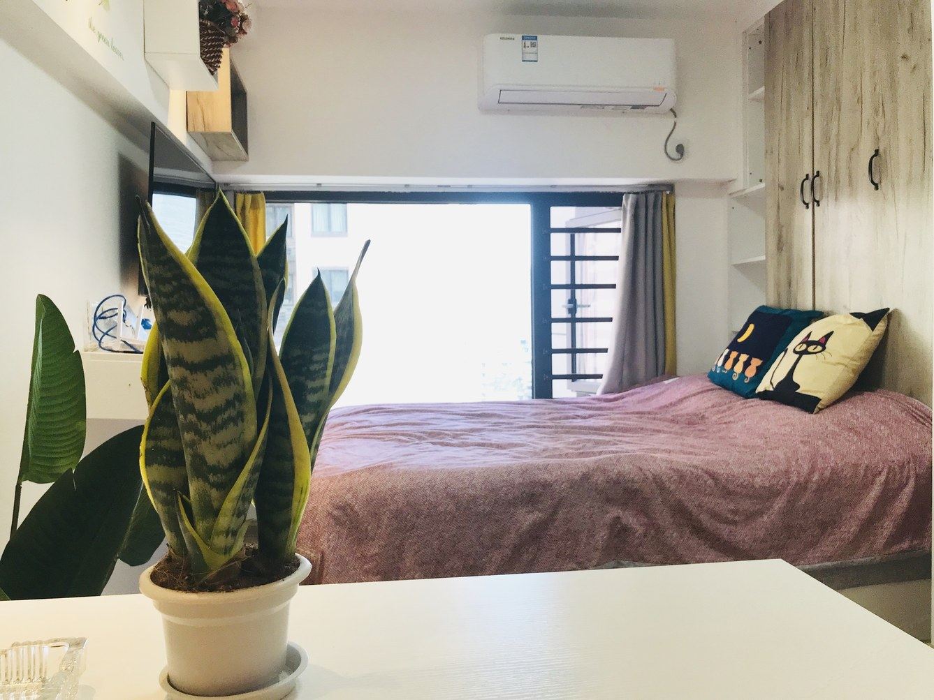阳光大床房