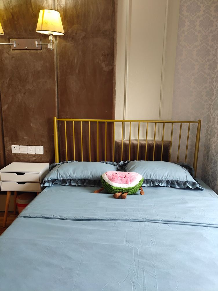 精致一室大床房