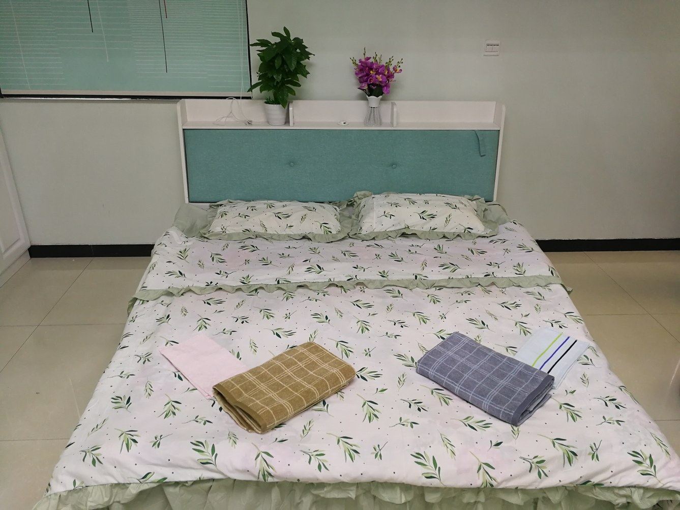 绿色一室一厅套房