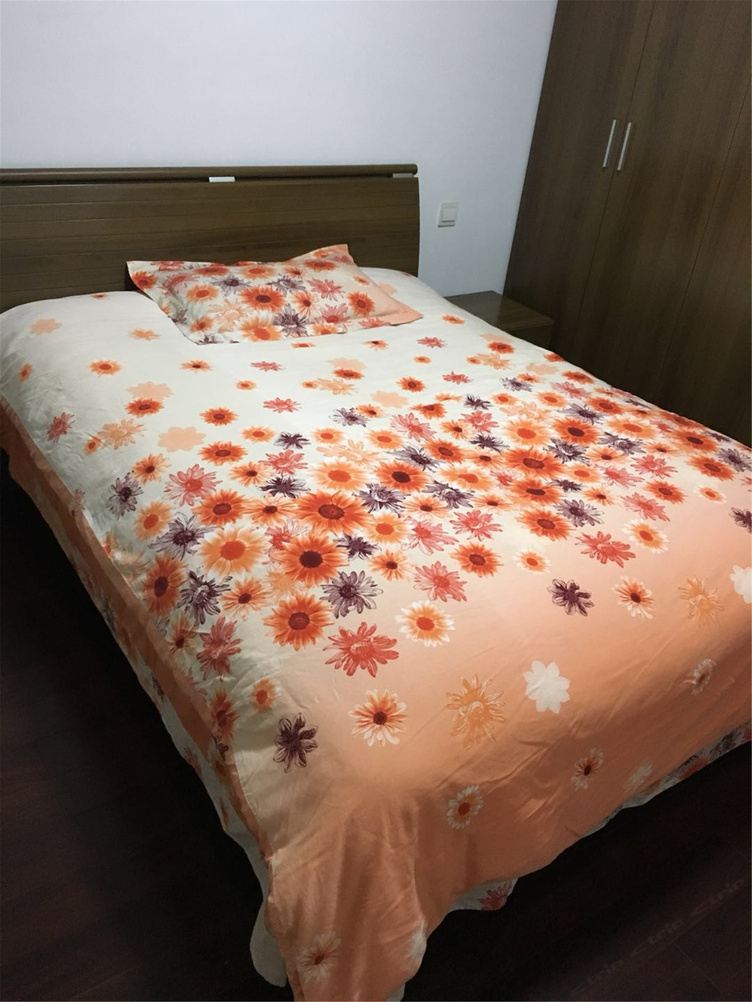 普通二室一厅套房