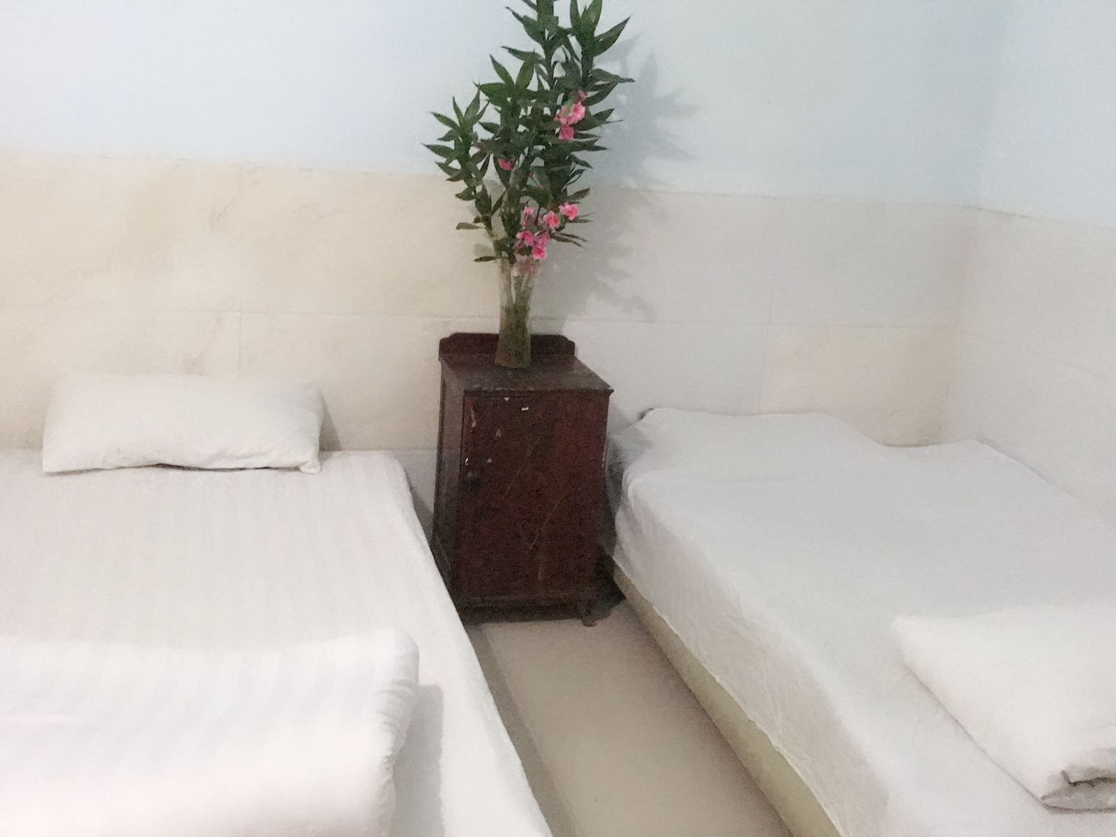 经济双床房