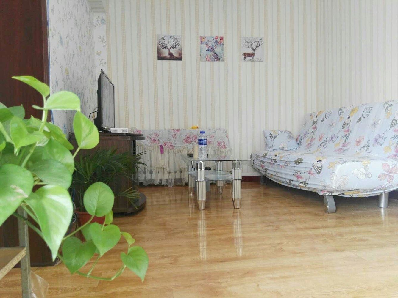 舒适整洁一室一厅套房