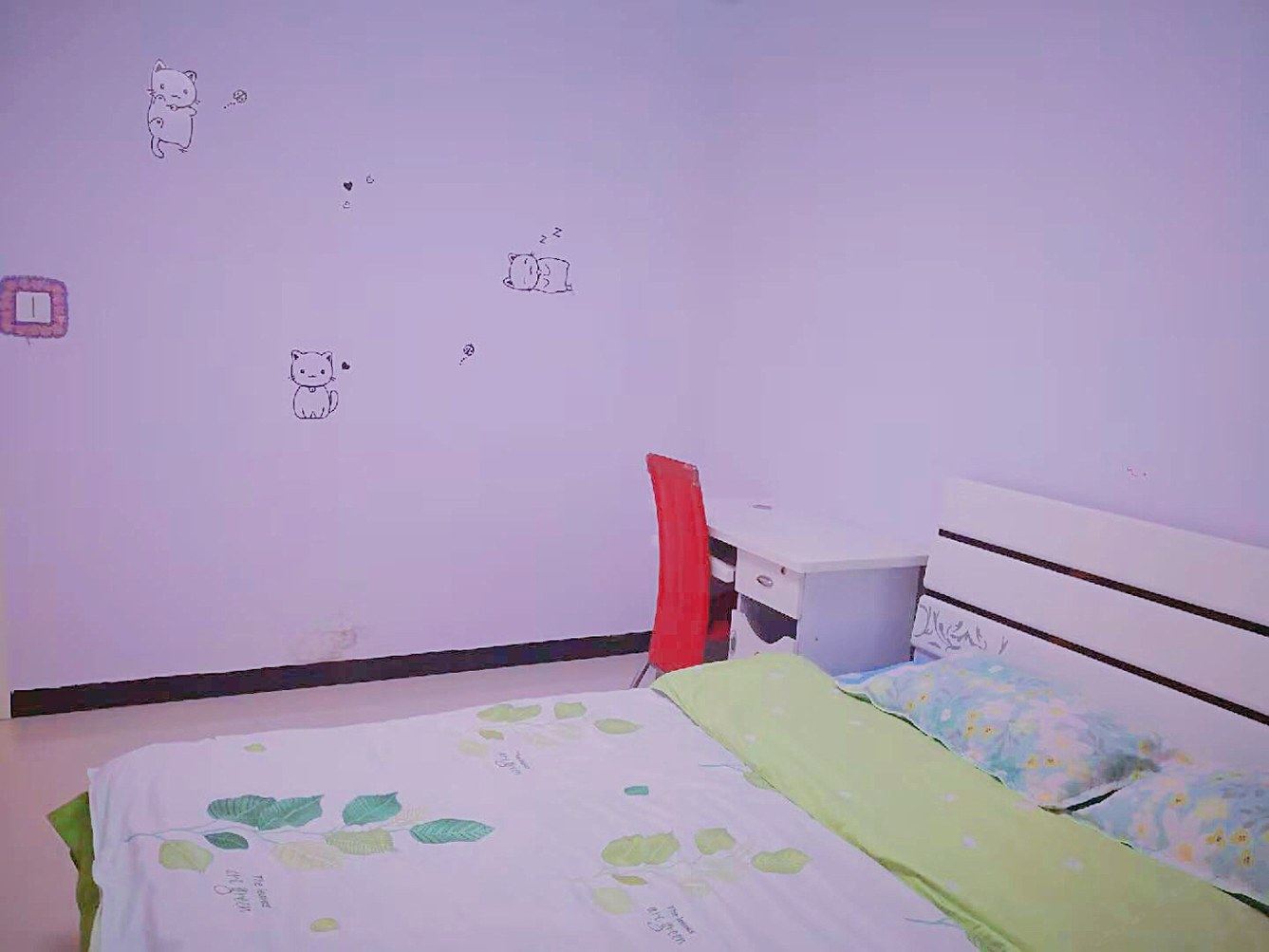 精致大两居