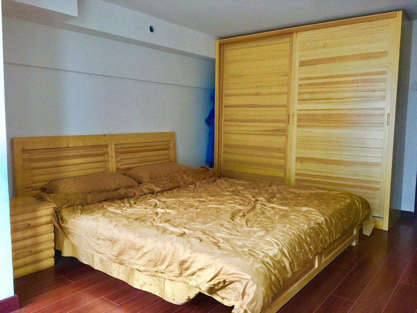 上海老中医和小虎公寓(2号店)
