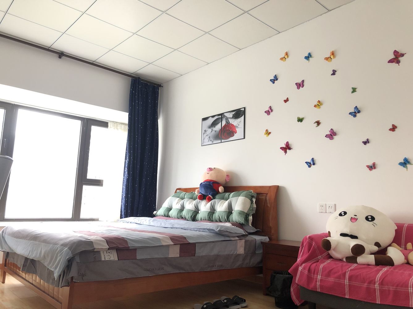 上海呆木木的胖丫丫公寓(谈家村分店)