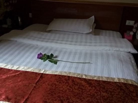 普通单间