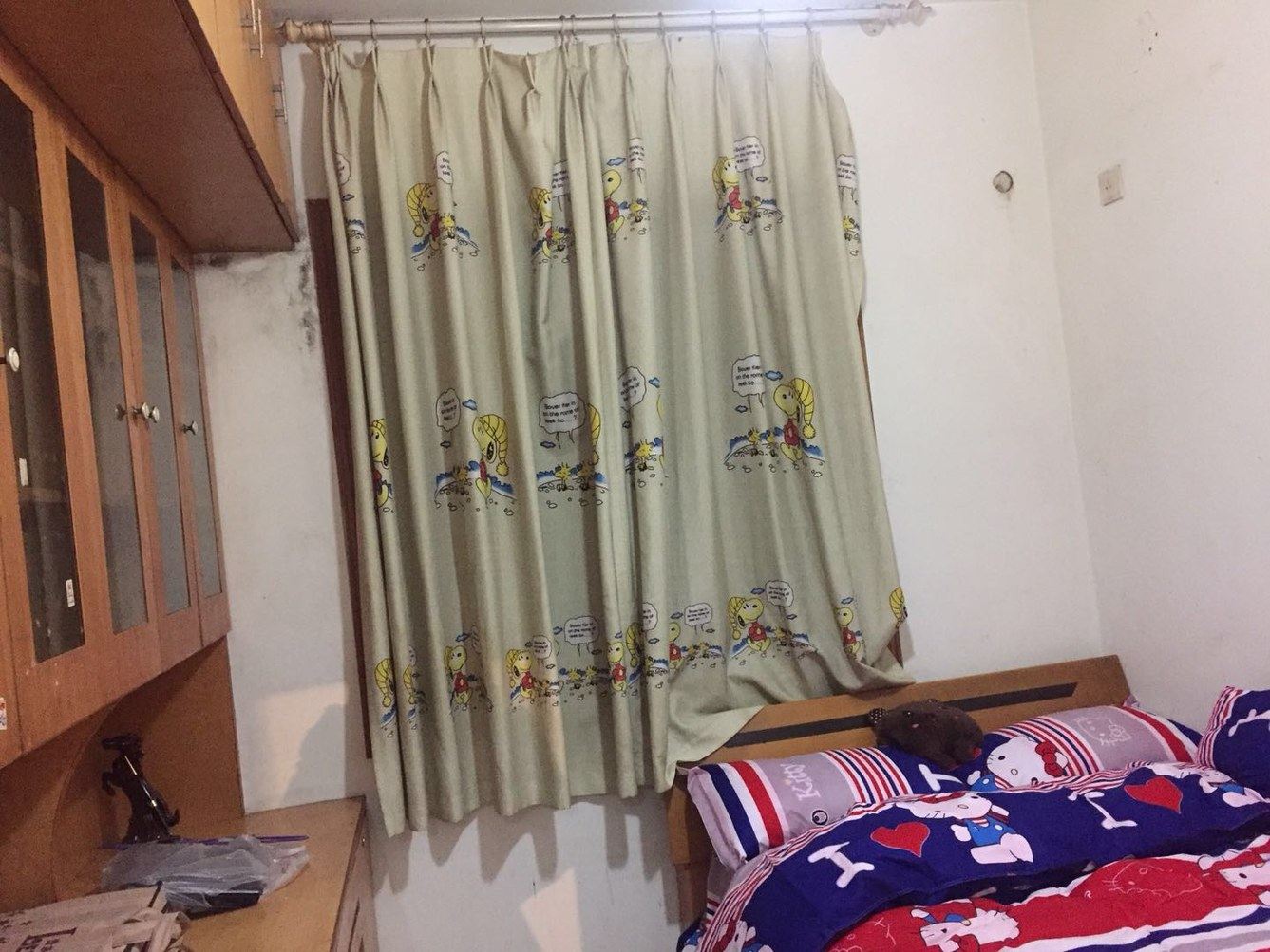 普通一室一厅