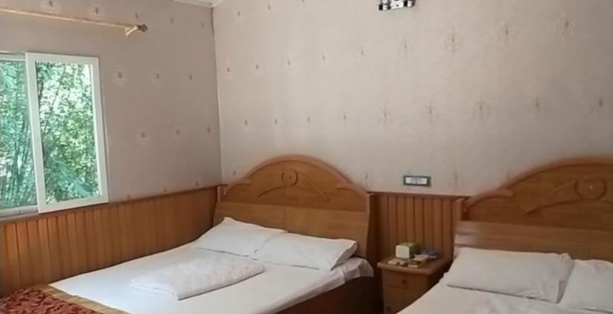 竹林小木屋