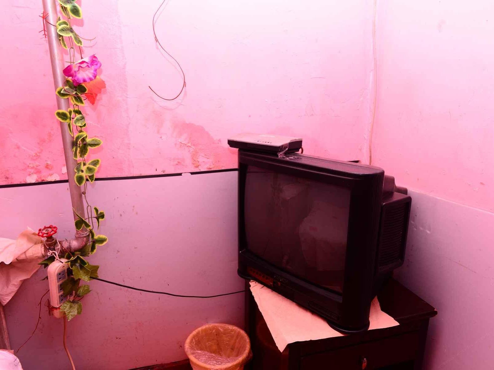 大床房a