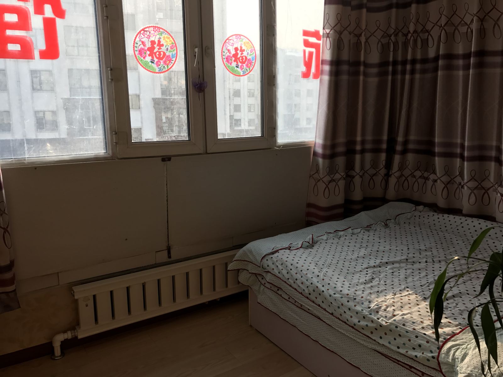 大床房(公共卫生间)(无法洗浴)